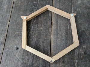 Hexagonal Mini-Nucs