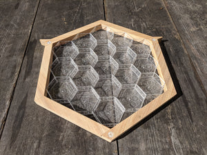 Hexagonal Smart Frames