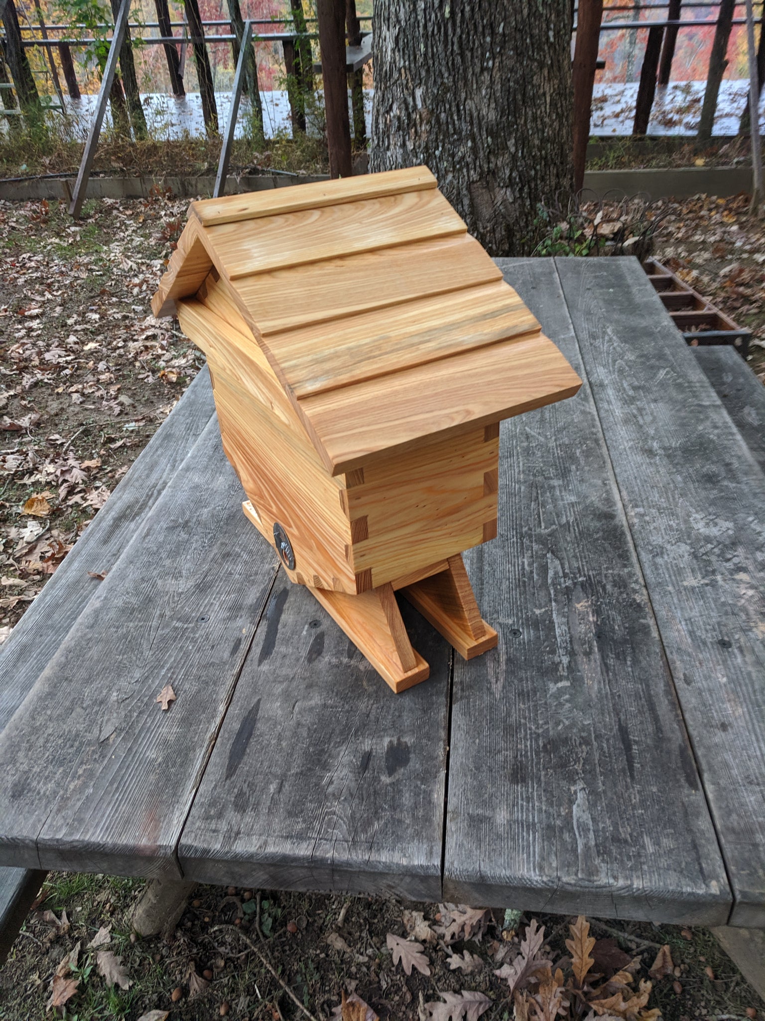 Hexagonal Mini-Nuc Bee Boxes – Honeycomb Hives